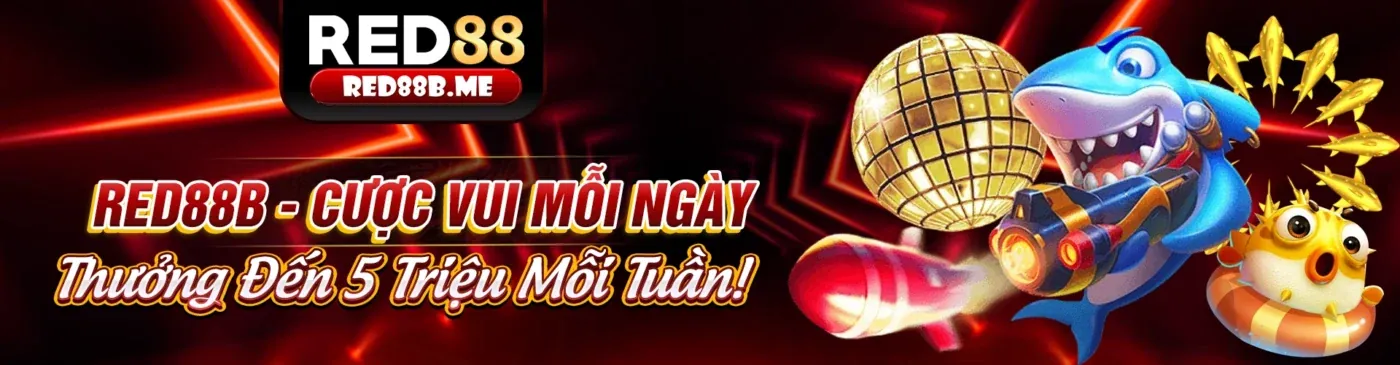 Hình ảnh chính FVE88 link mới, nền tảng cá cược trực tuyến
